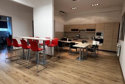 Hala noua ideal depozit/productie - 7