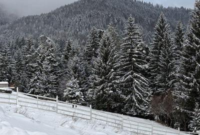 Spațiu comercial, în Turcheș - 6