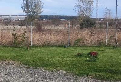 Hala 250 mp noua Ciorogarla ( Autostrada A 1 ) - 5