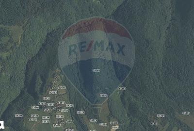 Teren de 90000 mp, în Căpușu Mare - 2
