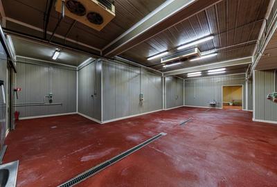 Spațiu industrial, de 1,285 mp, în Dumbrăvița - 16