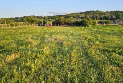 Teren Construcții intravilan de 1495 mp, în Dobreni - 28