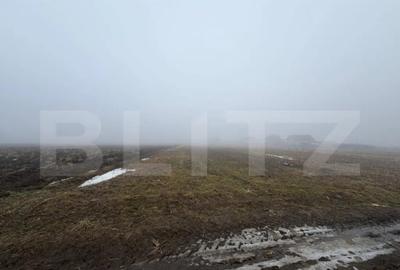 Teren de 2500 mp, în Central