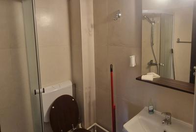 Apartament cu 1 camera, decomandat, zona Centru-Palas Campus - 6