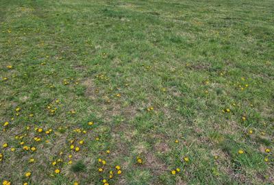 Spațiu comercial, în Baciu - 5