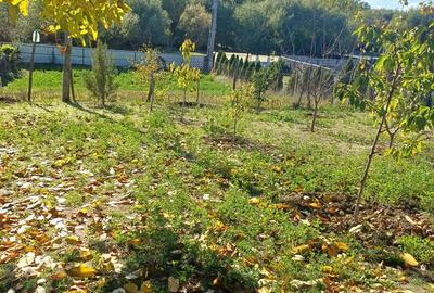 Casa batraneasca loc. Chiraftei 2100mp - 2
