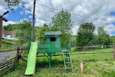 Cabane de vanzare, cu 3 camere, 50 mp, zona Brad - 8