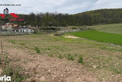Teren de 833 mp, în Meteș - 1