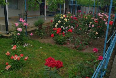 Casa la tara cu gradina - 3