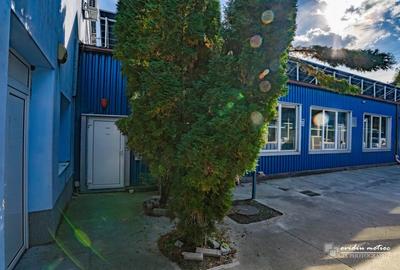 Hale in zona Calea Baciului - 18