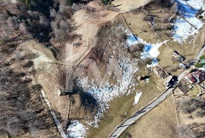 Teren Construcții intravilan de 4219 mp, în Dâmbovicioara - 3