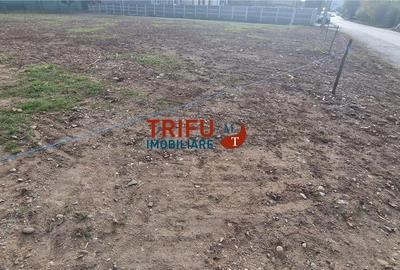 Teren cu o suprafață de 1093 mp, poziționat în zona Cetate, - 1