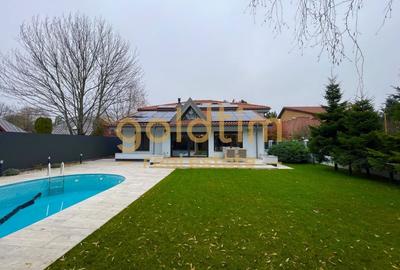 UNICA/ABSOLUT SUPERBA/ VILA INDIVIDUALA/IANCU NICOLAE/CURTE GENEROASA - 107