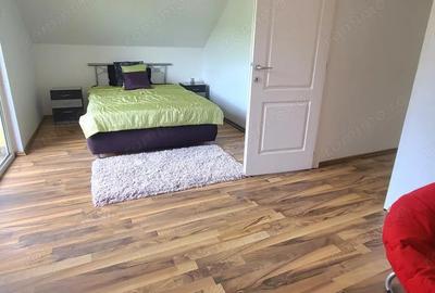 Casa superba in Corunca (potrivita si pentru pensiune) Casa superba in Corunca (potrivita si pentru pensiune) - 16