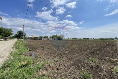 Teren Construcții intravilan de 2086 mp, în Țifești - 4