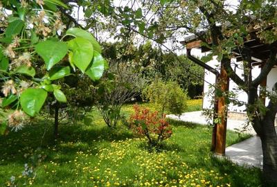 Apartamet 4 Camere Parter Casa Bartolomeu - 19