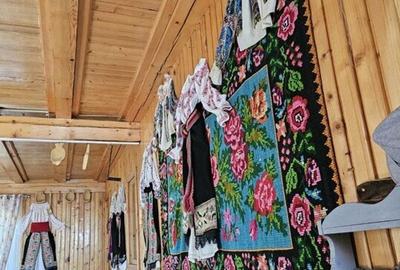 Pensiune in jud. Buzau, loc Ivanetu| Constructie lemn|Pozitionare impresionanta - 28