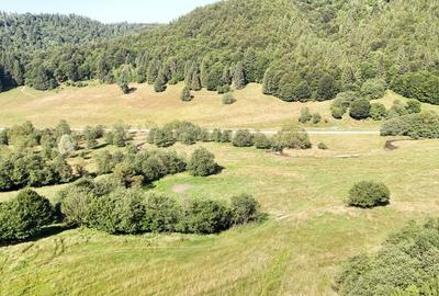 2 Loturi aprox.2200mp 25EUR/(total 6696mp) Barsa Fierului / Plaiul Foii - 6