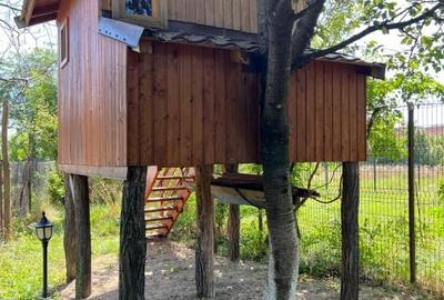 Campina-Brebu Prahova-Valea Doftanei, Casa 6 camere- 187 mp, st-1616 mp, - 18