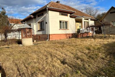 Casă cu 4 camere cu Teren 8808 Mp în Simeria - 4