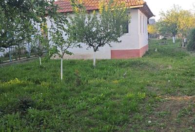 Casă cu 2 camere în Pleșoiu - 1