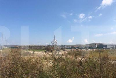 Teren pentru hala zona Nervia - 2