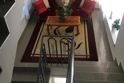 Casa Elisabetin amenajata 400mp 15 camere - 16