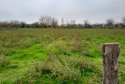 BARCANESTI -  casa +curte+teren 16k mp - 25