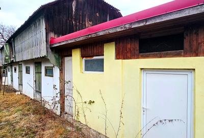 Casa+ Anexa + Teren 3506 mp, com.Alexandru cel Bun - 2