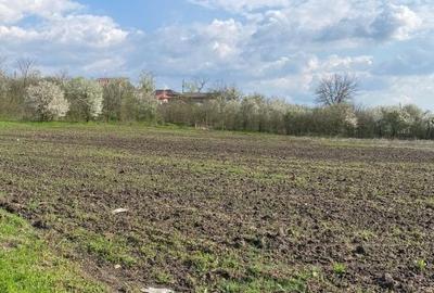 Teren Construcții de 10000 mp, în Bucșani - 4