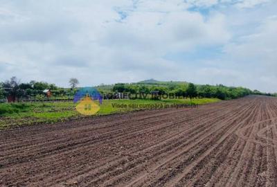 Teren- Com. Stefan cel Mare- jud. Neamt - 3