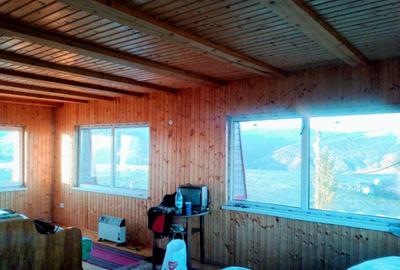 Casă cu 5 camere cu Teren 600 Mp în Paltin - 6