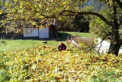 Casă cu 6 camere cu Teren 8700 Mp în Hangu - 1