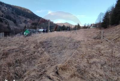 Casă cu 2 camere cu Teren 9287 Mp în Dorna-Arini - 7