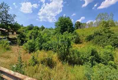 Resita, Terenuri Intravilane 2000 Mp., 28 Euro/Mp., Calea Ca - 13