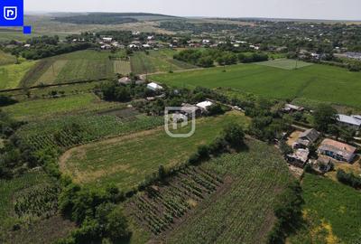 Teren Construcții intravilan de 3285 mp, în Ionășeni (Trușești) - 6