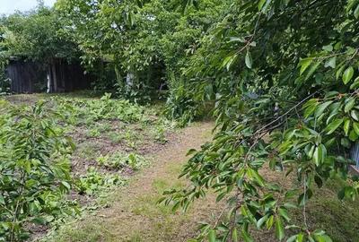 Vand casa plus teren in Sat Larga, com Dofteana, jud. Bacau - 2