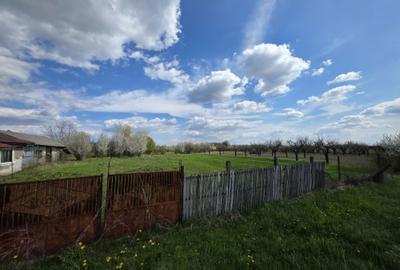 Casă cu 3 camere în Leleasca - 4