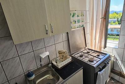 Apartament cu 2 camere decomandat, mobilat în Craiter - 8