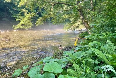 Casă cu 3 camere în Băile Herculane - 7