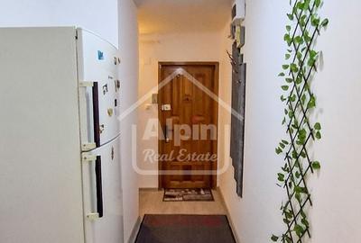 Suprafata Generoasa I Zona Gemenii - 24