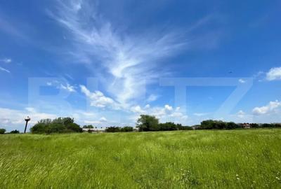 Teren de 4444 mp, în Central - 6