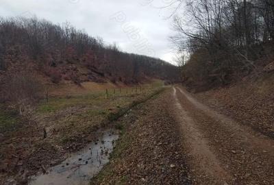 Teren de 1500 mp, în Hideaga - 1