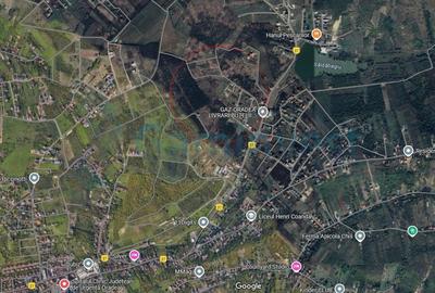 Teren Construcții intravilan de 1050 mp, în Săldăbagiu de Munte - 3