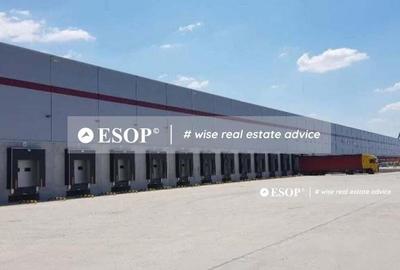 WDP Industrial Park Oarja, spatii industriale, 3.000 - 13.525 mp - 4