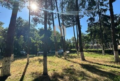 Apartament 2 camere la etajul I, Renovat, zona Iulius Mall Apartament 2 camere la etajul I, Renovat, zona Iulius Mall - 9