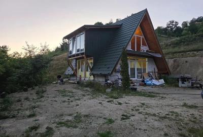 Casă în Avram Iancu - 3