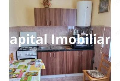 Proprietate Unica in Inima Naturii Galaoaia, Mure? - 9