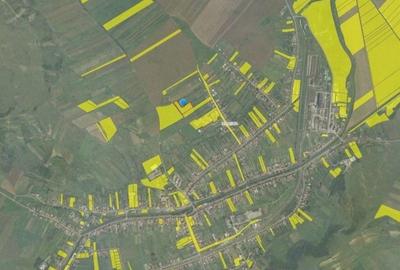 Teren de 5063 mp, în Lechința - 3