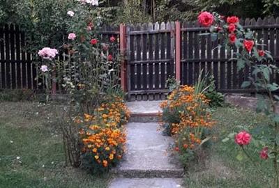 Casă cu 2 camere cu Teren 1800 Mp în Posești - 1